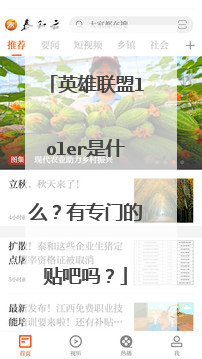 英雄联盟loler是什么？有专门的贴吧吗？