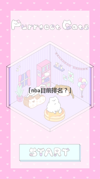 nba目前排名？